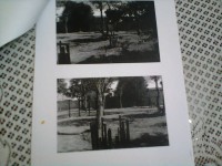 /album/conquistas1/foto1241-jpg/