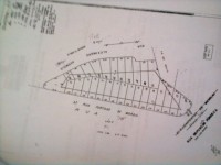 /album/conquistas1/foto1244-jpg/