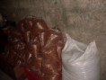 /album/galeria-de-fotos/ogaaap9aubvpg-cr8lonado9xturobd7doq6s6d-zbjz-m8gko4c9vccfl2io1hevsch-sdufhkbdy2x4sriqzmsemyam1t1uazdukezzqsosr3-lj6zygyj1vam-jpg/