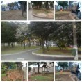 /album/conquistas/a10568819-1444334162511840-8092922465500176310-n-jpg/